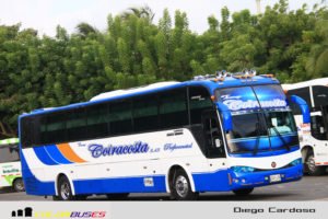Bus Cootracosta