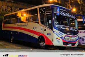 flota occidental línea platino