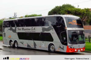 Flota Magdalena Gacela Double Premium