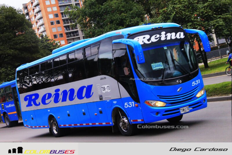 Transportes Reina 531