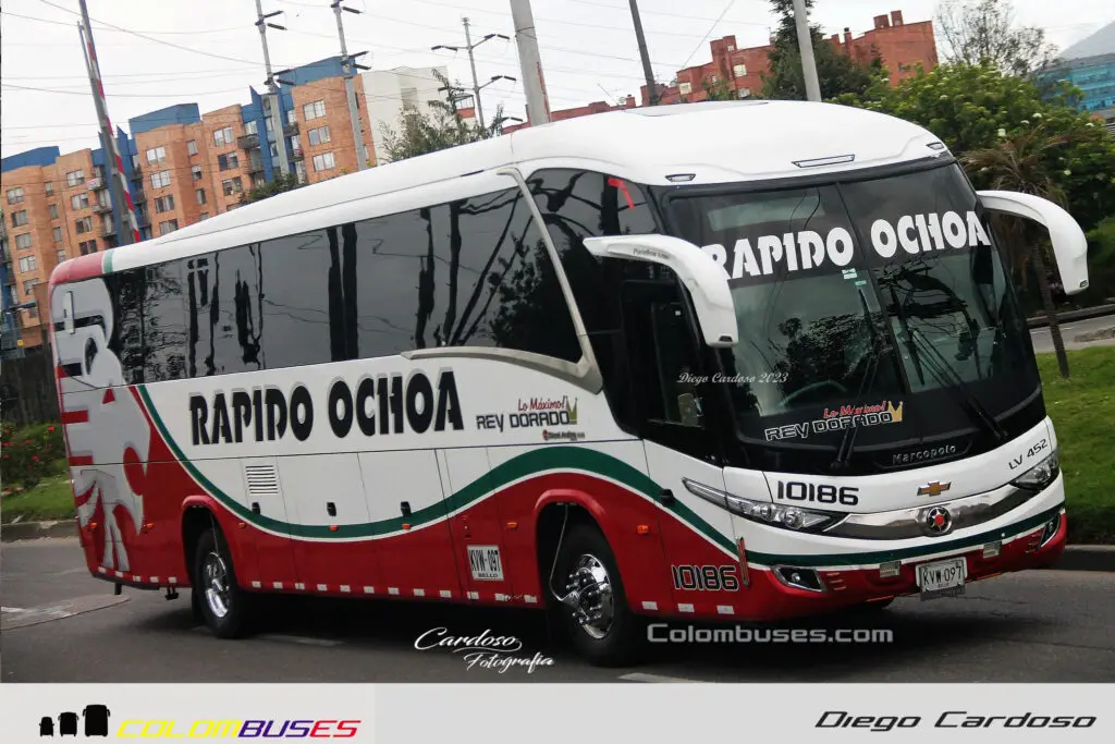 Rapido Ochoa 10186