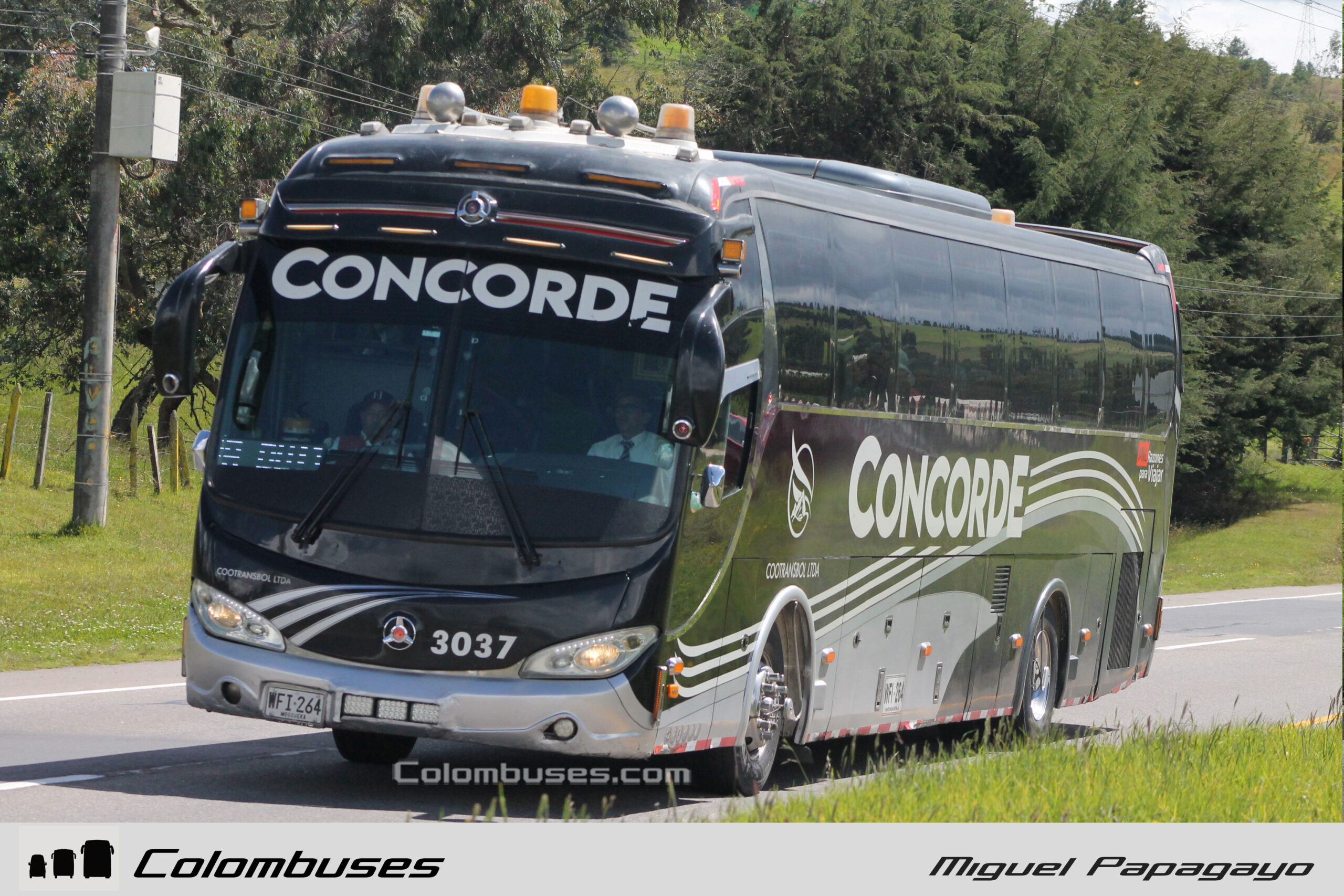 Cootransbol - Concorde