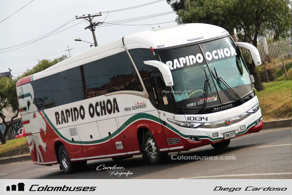 Rapido Ochoa 10134