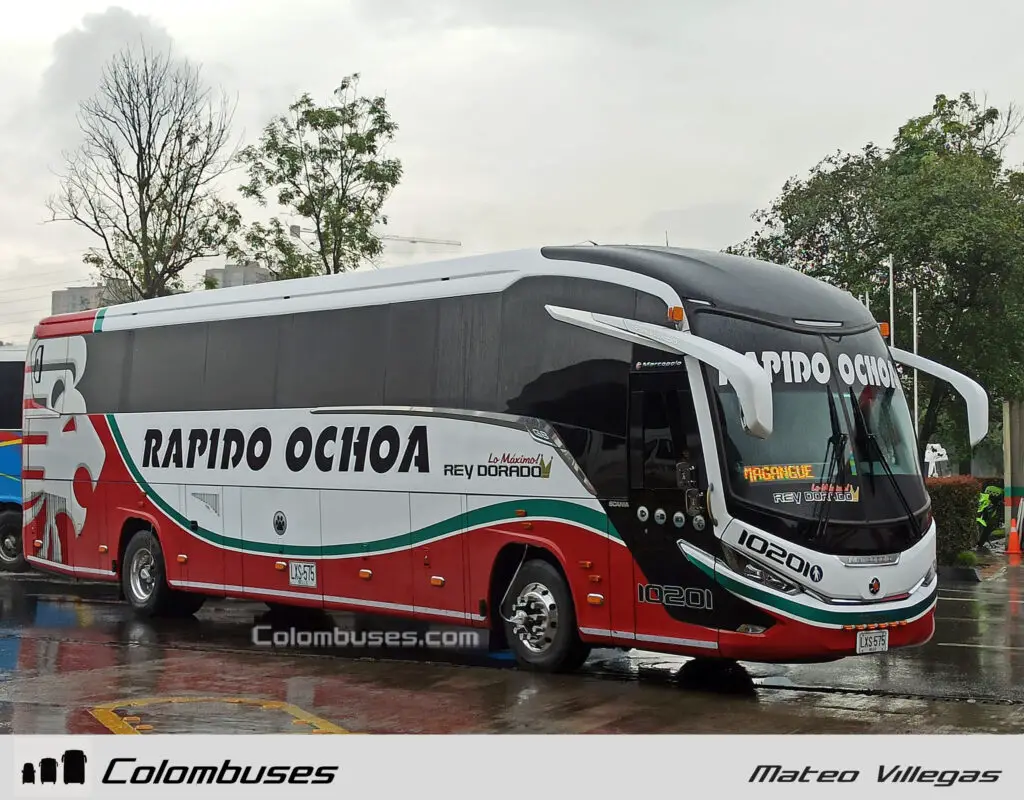 Rapido Ochoa 10201
