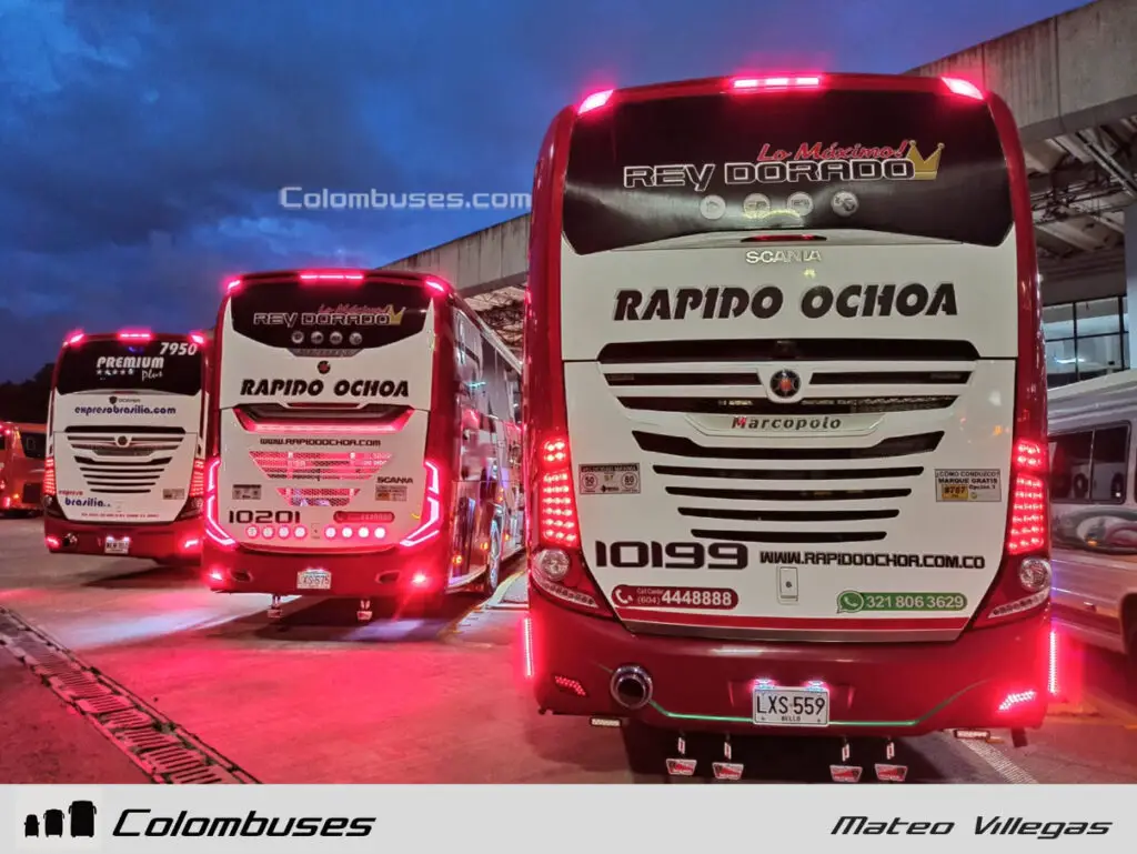 Expreso Brasilia 7950 - Rapido Ochoa 10201 - 10199