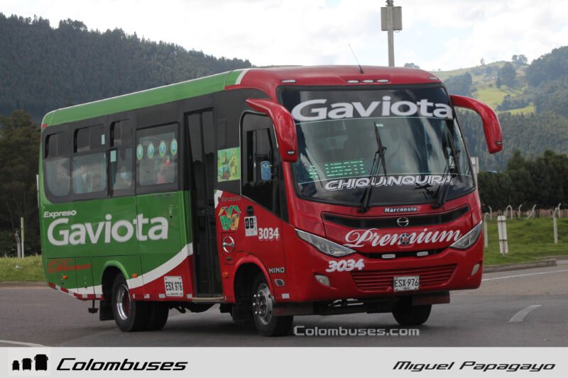 Expreso Gaviota