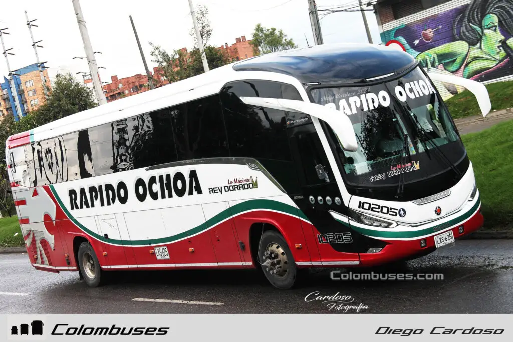 Rapido Ochoa 10205