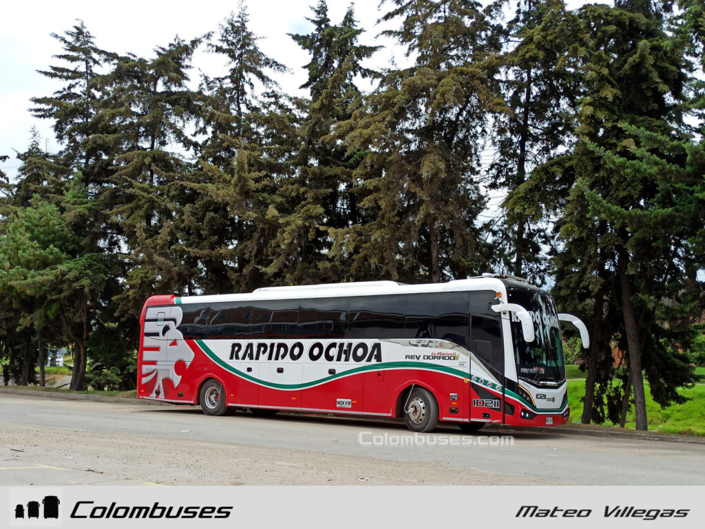 Rapido Ochoa 10211