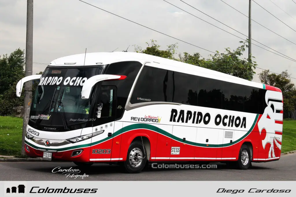 Rapido Ochoa 10203