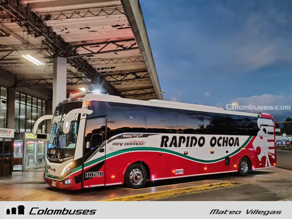 Rapido Ochoa 10211