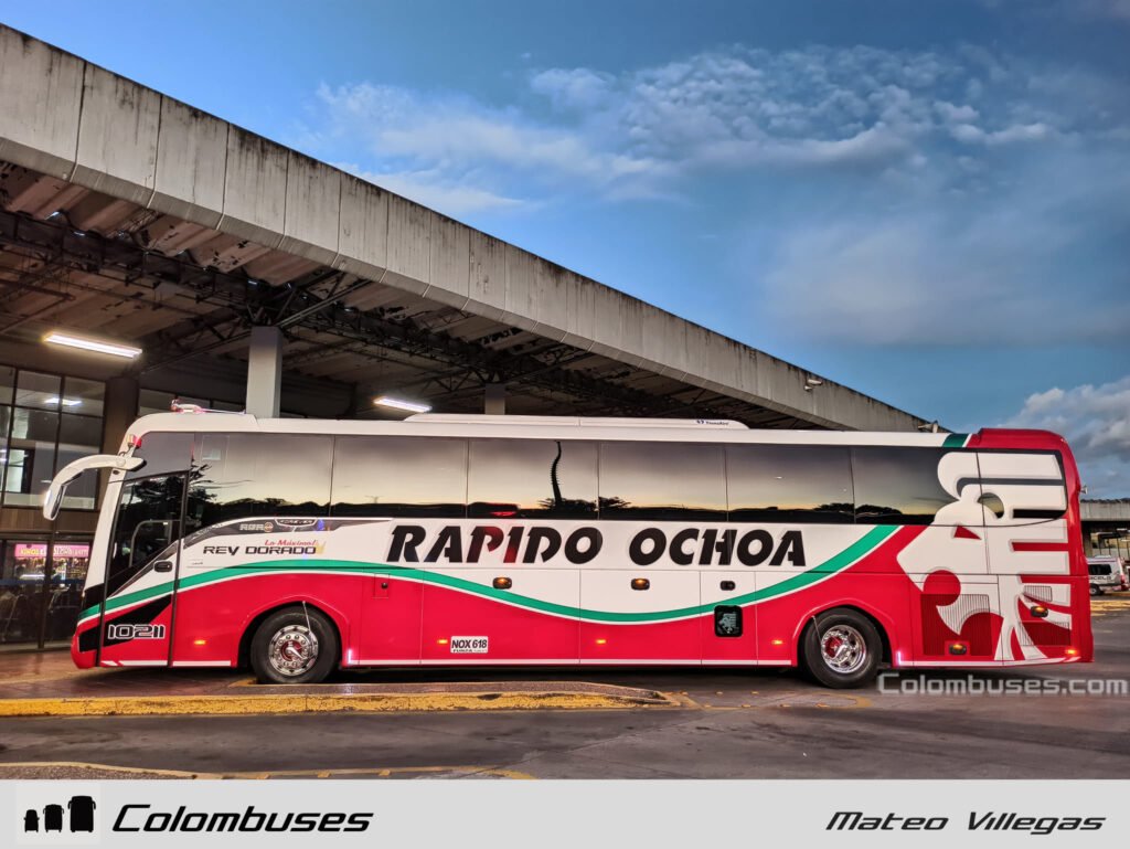 Rapido Ochoa 10211