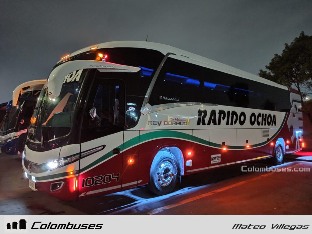 Rapido Ochoa 10204