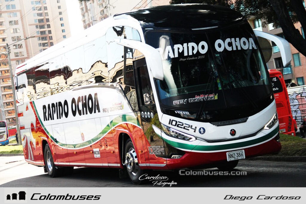 Rapido Ochoa 10224