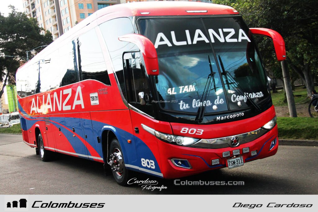 Trans Alianza 803