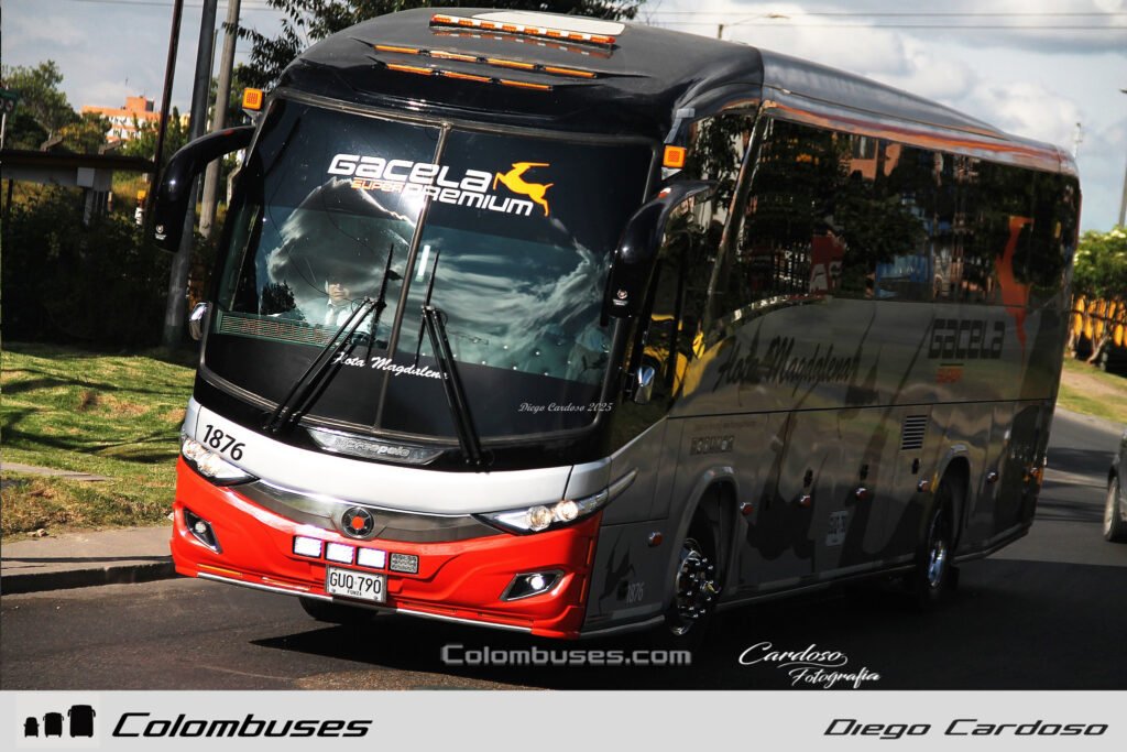 Flota Magdalena 1876