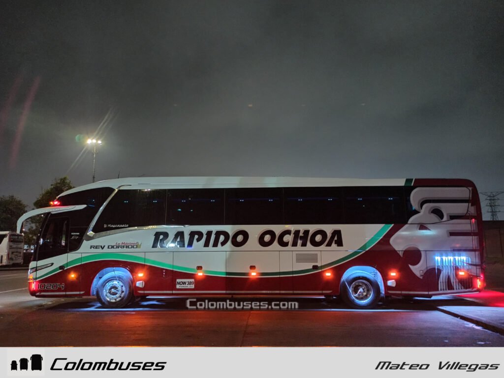 Rapido Ochoa 10204