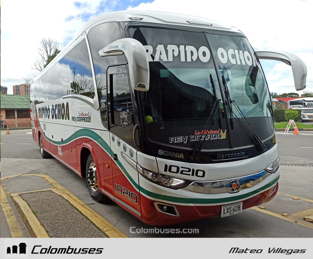 Rapido Ochoa 10210