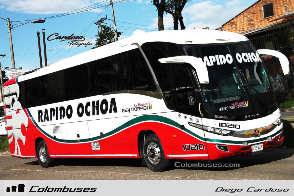 Rapido Ochoa 10210