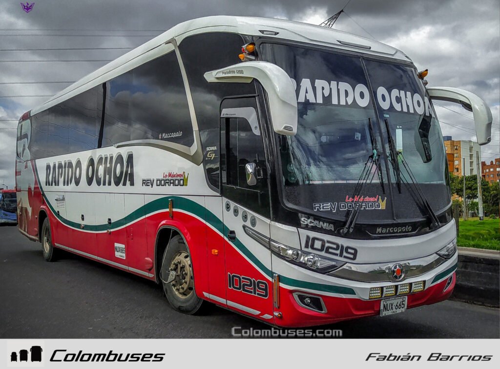 Rapido Ochoa 10219