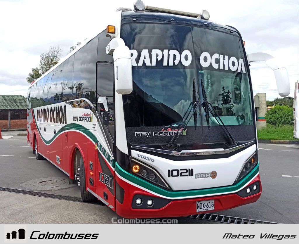 Rapido Ochoa 10211