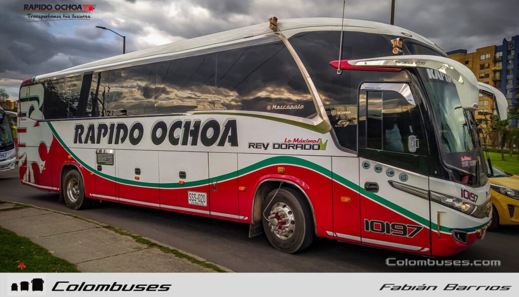 Rapido Ochoa 10197