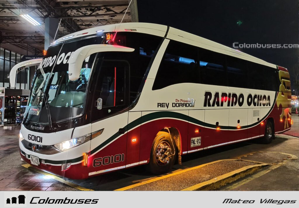 Rapido Ochoa 60101