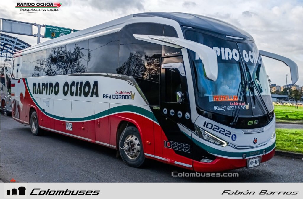 Rapido Ochoa 10222