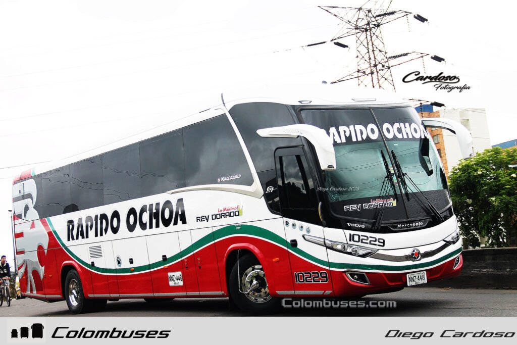 Rapido Ochoa 10229