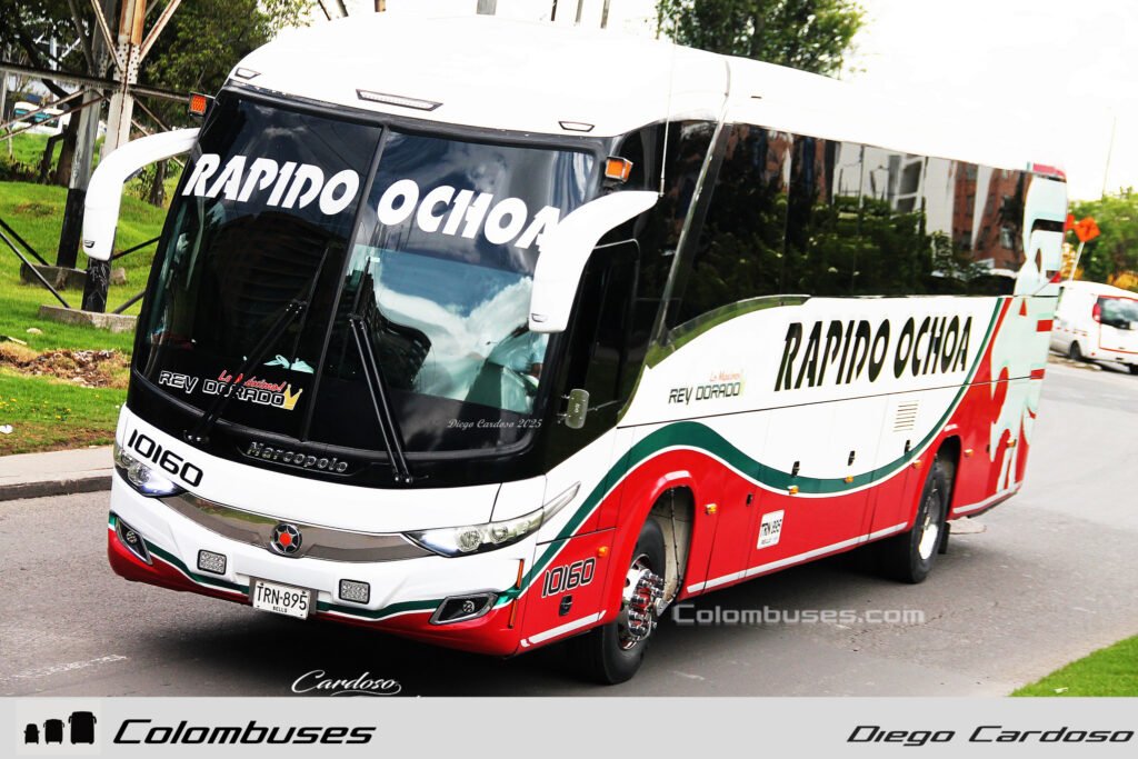 Rapido Ochoa 10160