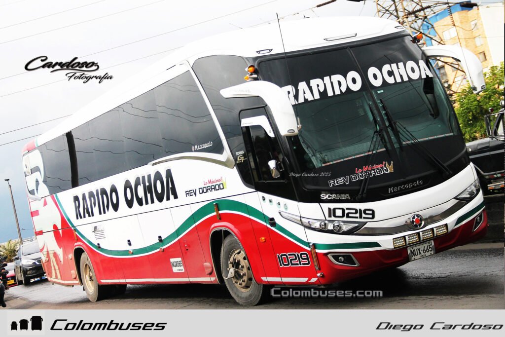 Rapido Ochoa 10219