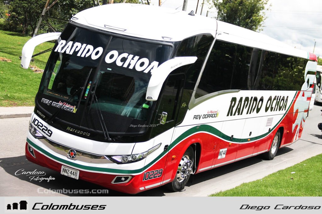 Rapido Ochoa 10229