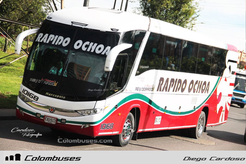 Rapido Ochoa 10168