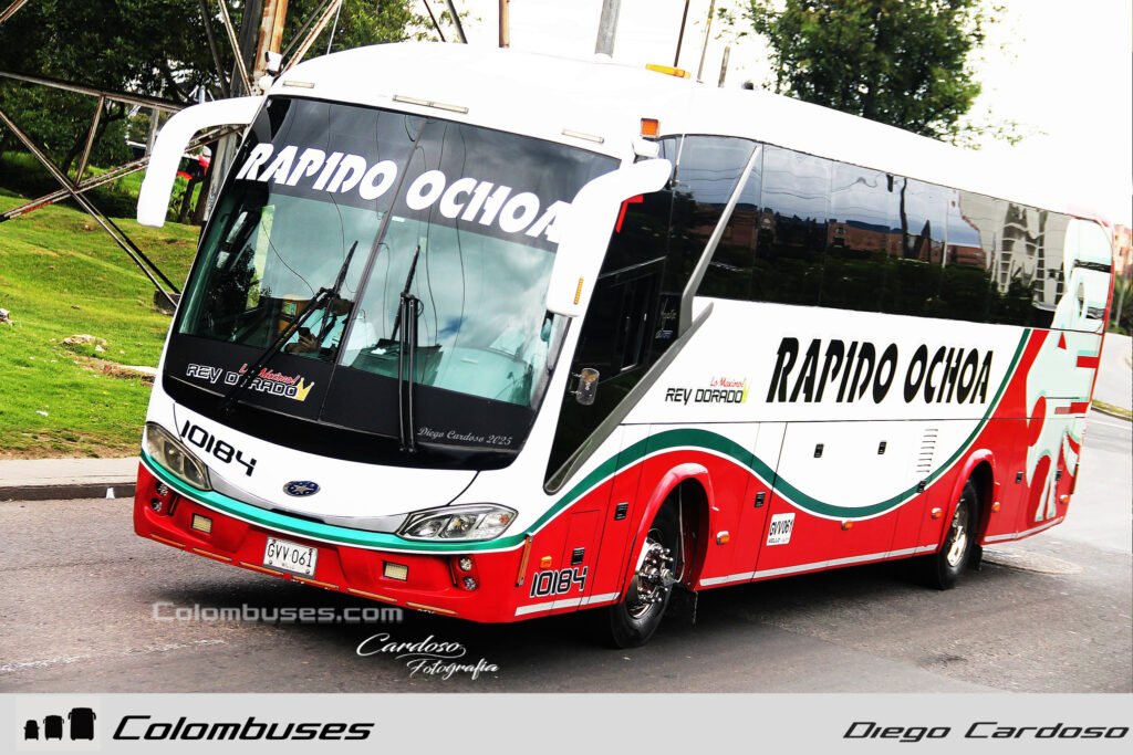 Rapido Ochoa 10184