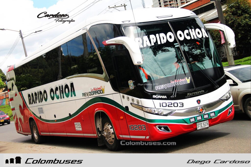 Rapido Ochoa 10203