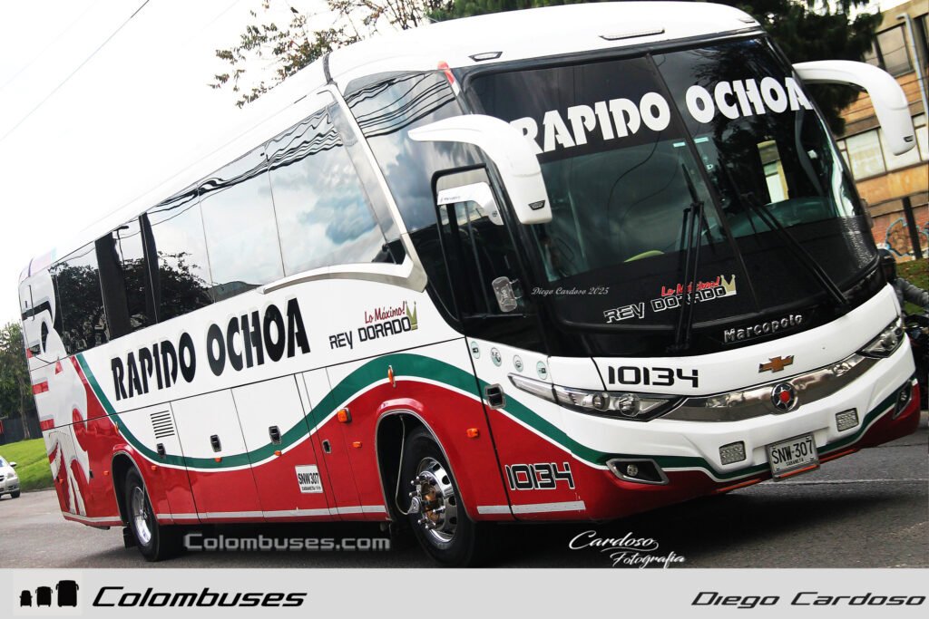 Rapido Ochoa 10134