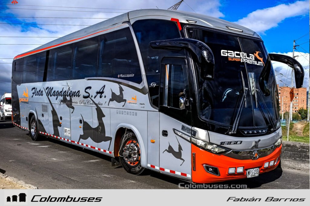 Flota Magdalena 1860