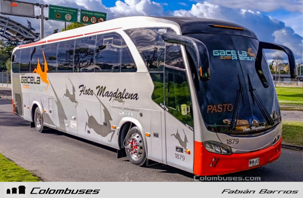 Flota Magdalena 1879