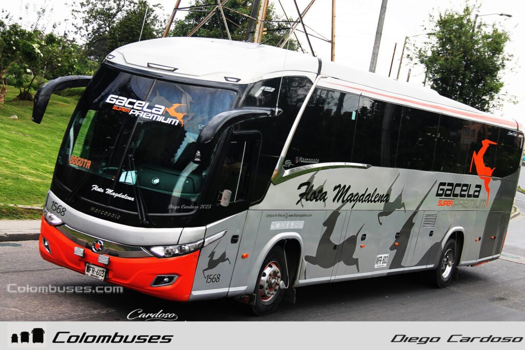 Flota Magdalena 1568